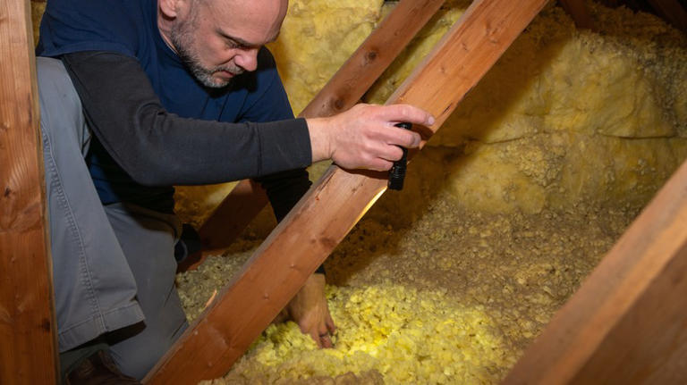 How To Identify What Type Of Wood Rot You Have Before Repairing (And ...