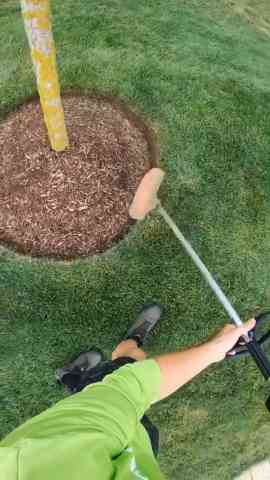 Lawn Care Hacks Every Homeowner Needs