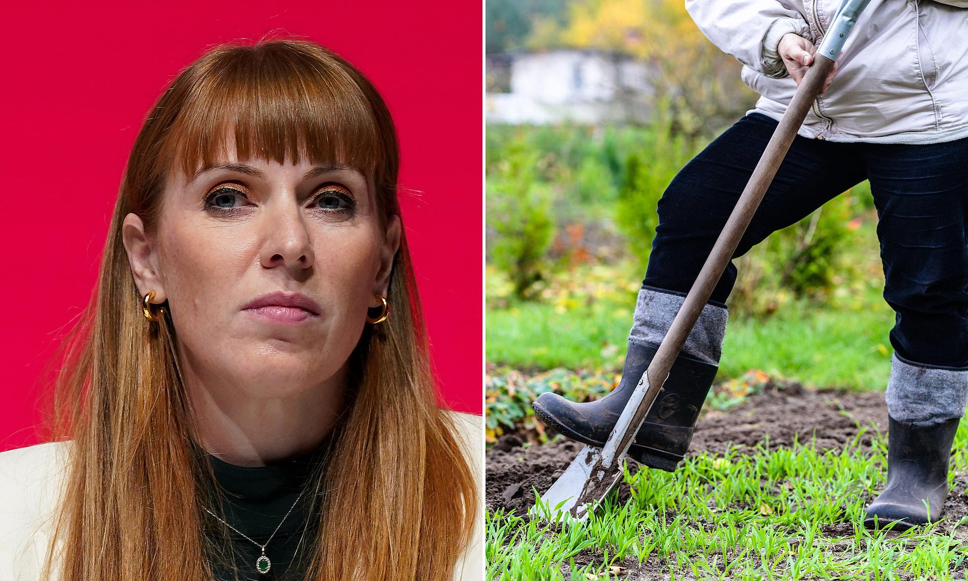 Angela Rayner's Hypocrisy Exposed: Selling Allotments, Not in Her Own Patch