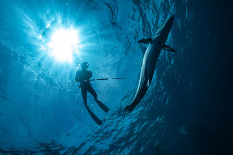 US tourist, 63, attacked by shark, severely injured while spearfishing(02)
