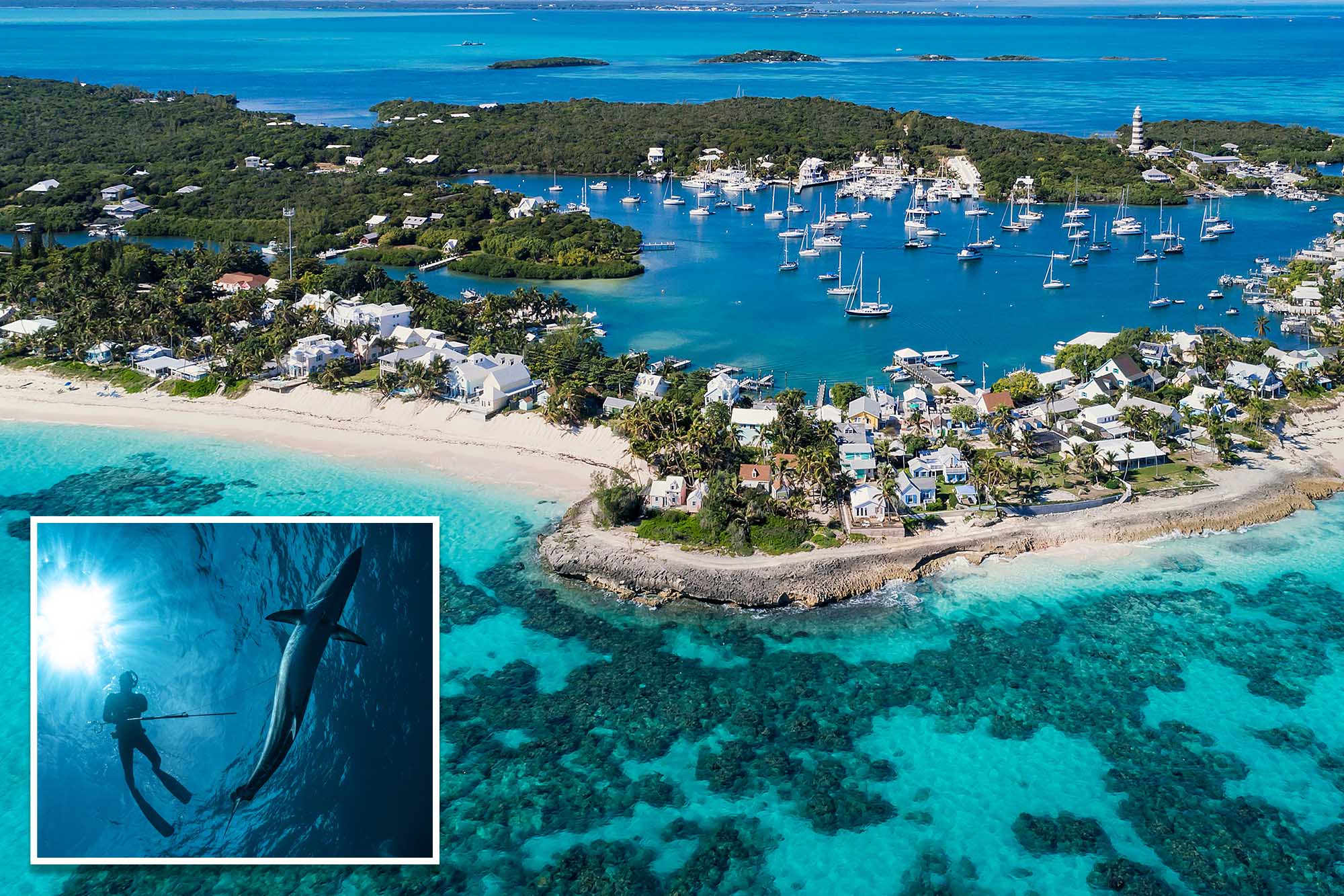 US tourist, 63, attacked by shark, severely injured while spearfishing