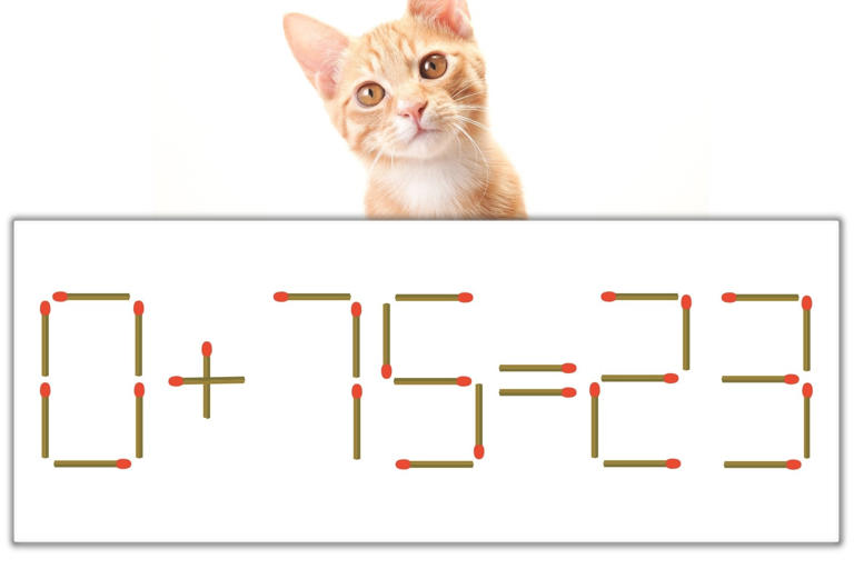 マッチ棒パズル】正しい式にしよう！「0+75=23」【毎日脳トレ】
