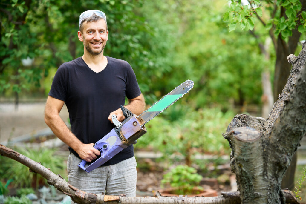 how-much-do-tree-surgeons-charge-on-average-in-the-uk