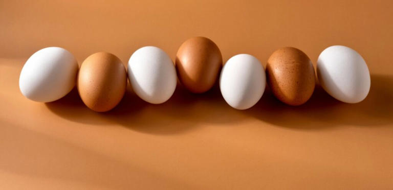 البيض باللونين الأبيض والبني