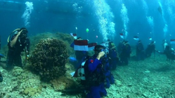 Spektakuler! Ratusan Penyelam NTB Berkibar di Bawah Laut