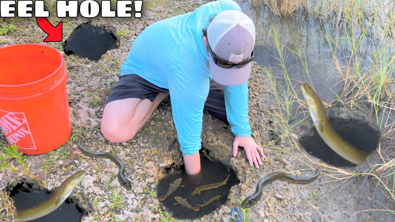 Trapped Fish, Deep Holes, and One Slippery Eel!