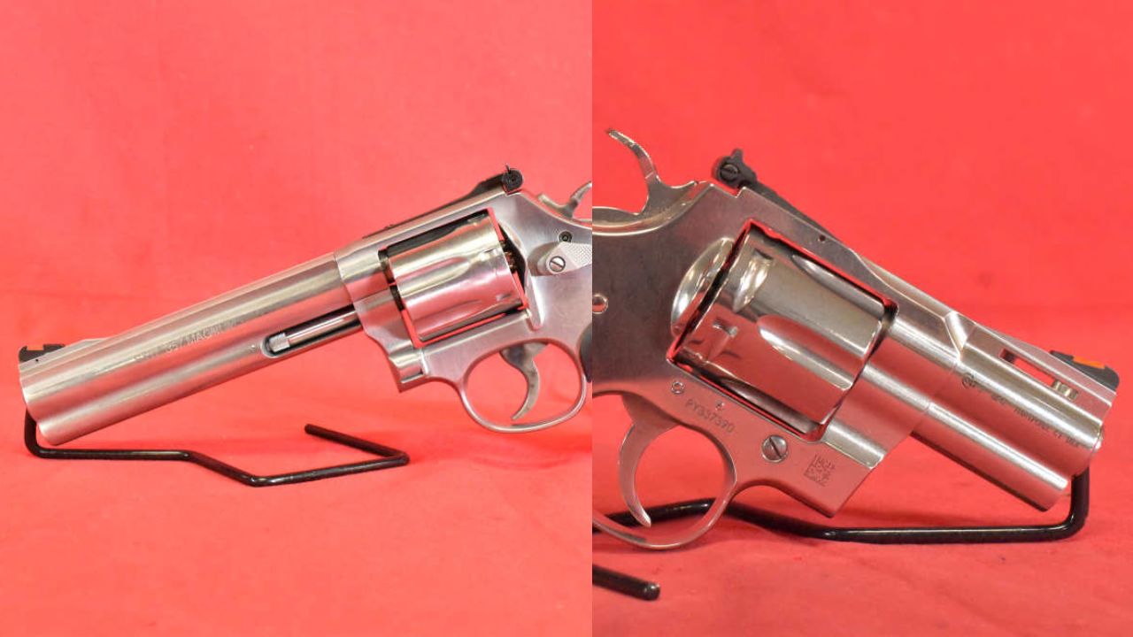 Colt Python vs S&W Model 686 revolver accuracy test