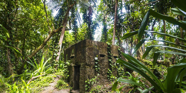 Archaeologists Found a 5,000-Year-Old Fortress That Nature Had Hidden ...