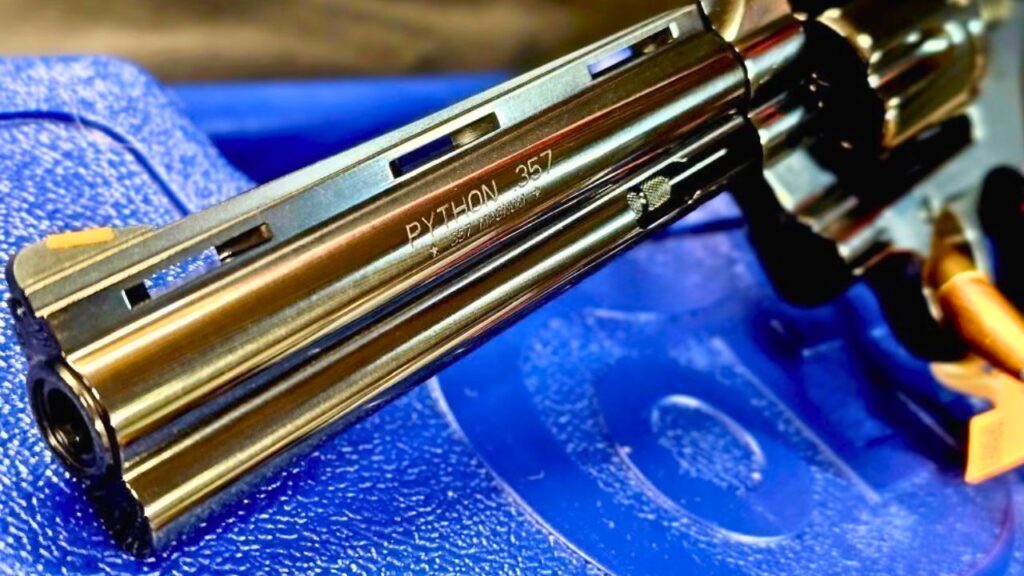 Colt Python vs S&W Model 686 revolver accuracy test
