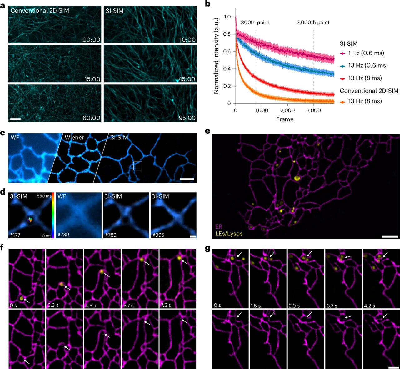 Triangle structured illumination microscopy developed for sustained Triangle structured illumination microscopy developed for sustained