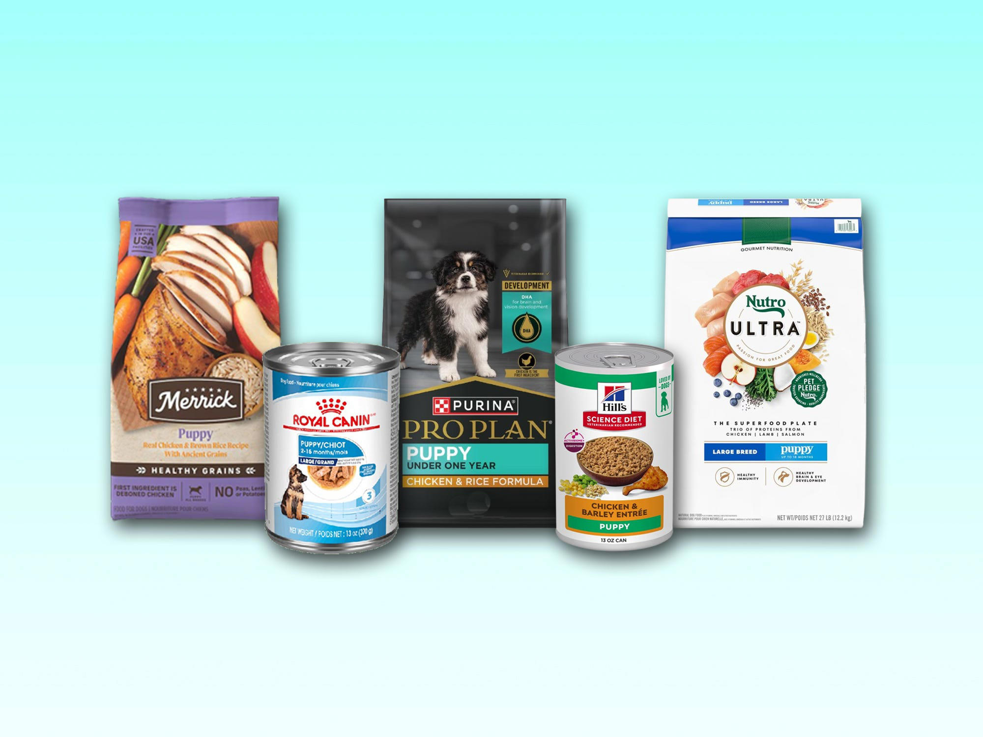 The 8 best puppy foods in 2025 with advice from vets The 8 best puppy foods in 2025 with advice from vets