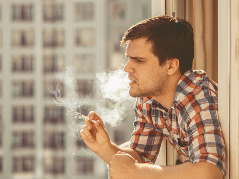 how much is a pack of cigarettes in mauritius Cigarette Box
