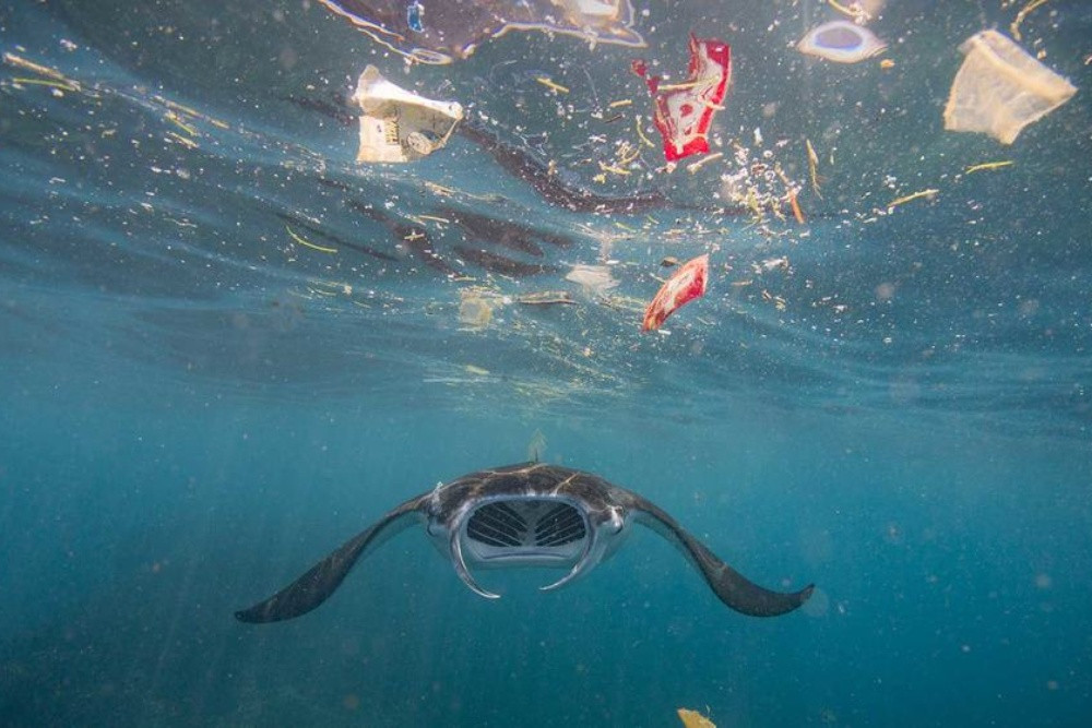 Sikap Tegas AS Memicu Kekhawatiran Kesepakatan Plastik Usai Gagal di INC 5.2 Jenewa