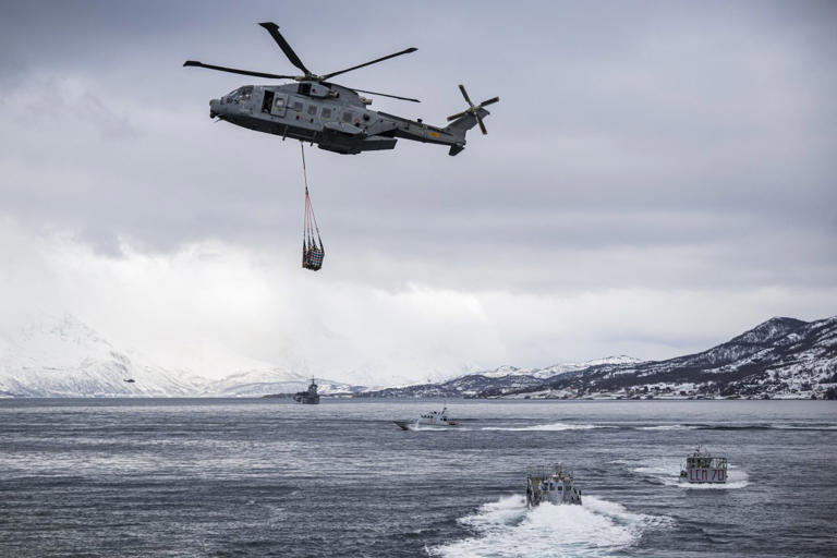 Swedish, Finnish, Italian and French troops taking part in an amphibious assault demonstration.
