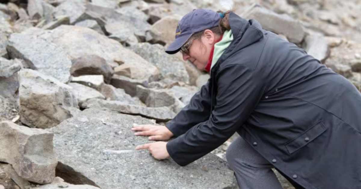 Victoria Arbour is inspecting the site. ( Image Source: BC Parks Foundation | Victoria Arbour.)