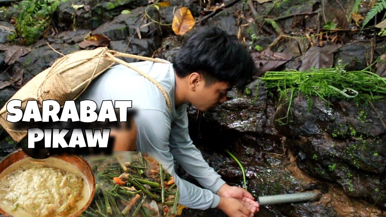 Finding Cook (Pikaw Sarabat) Life in the Mountains Finding Cook (Pikaw Sarabat) Life in the Mountains