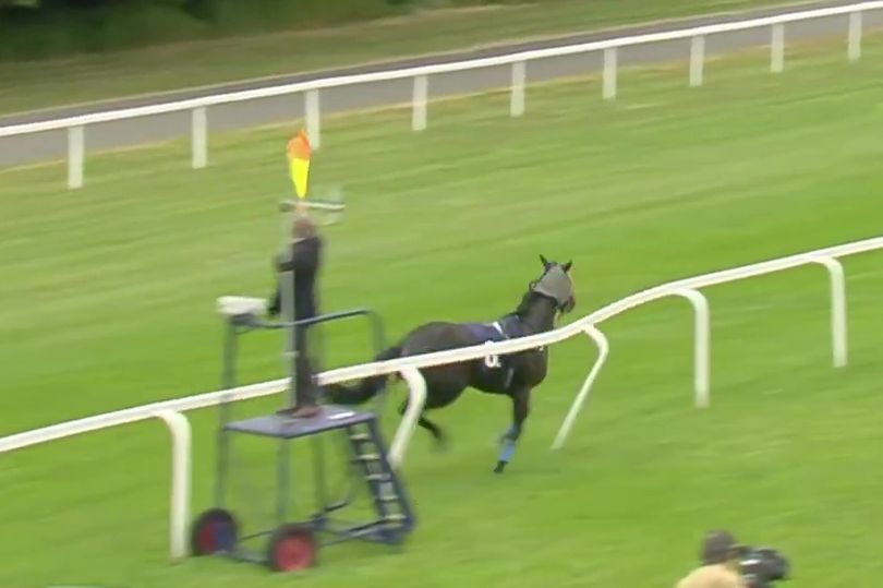 Five jockeys banned as horse runs blindfolded through rail with race(01)