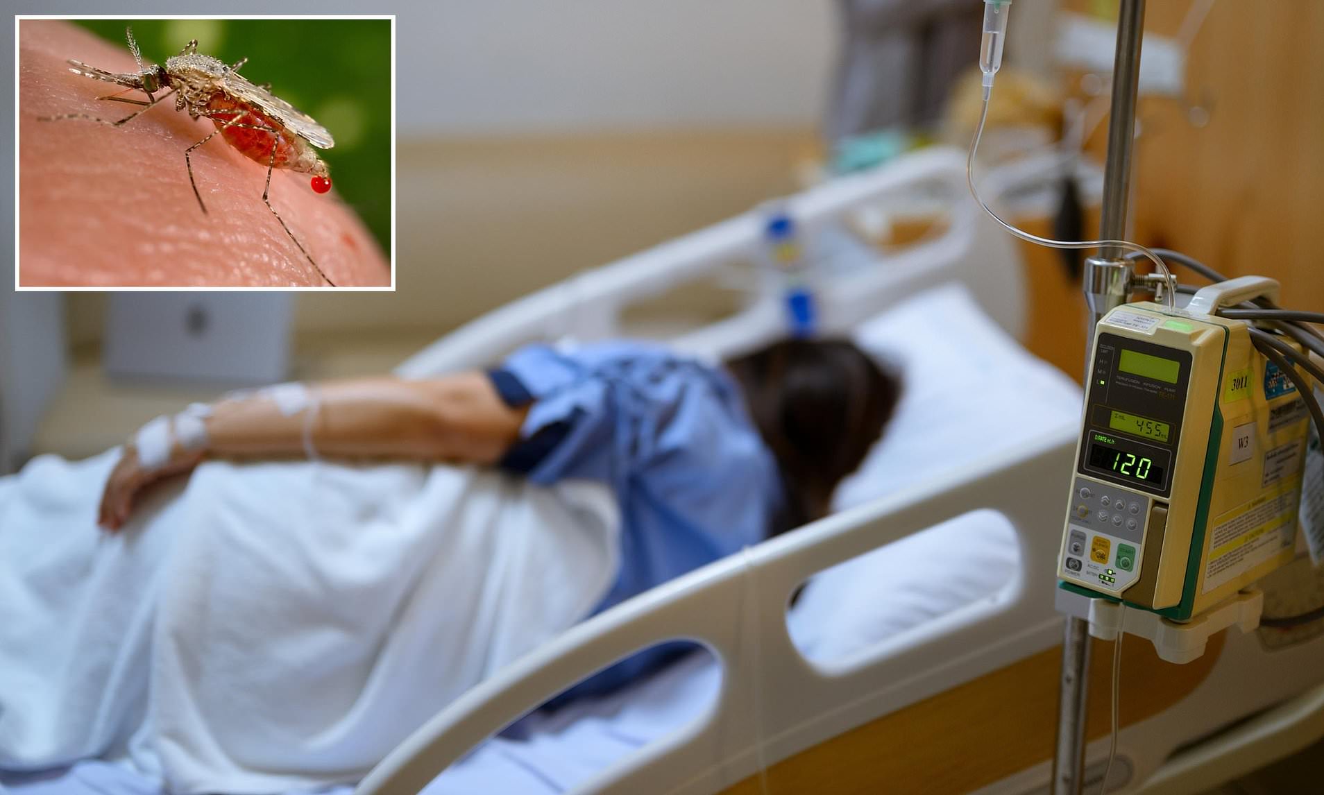 Officials record first case in 30 YEARS of locally acquired mosquito(02)