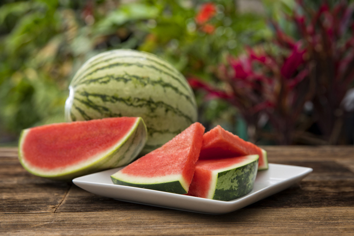 Wait Can You Freeze Watermelon? Wait Can You Freeze Watermelon?