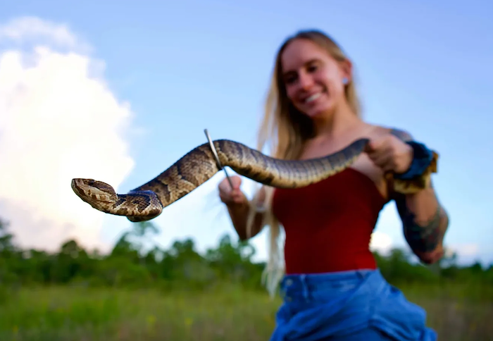 ‘Swamp Queen’ sets record in Python Challenge debut