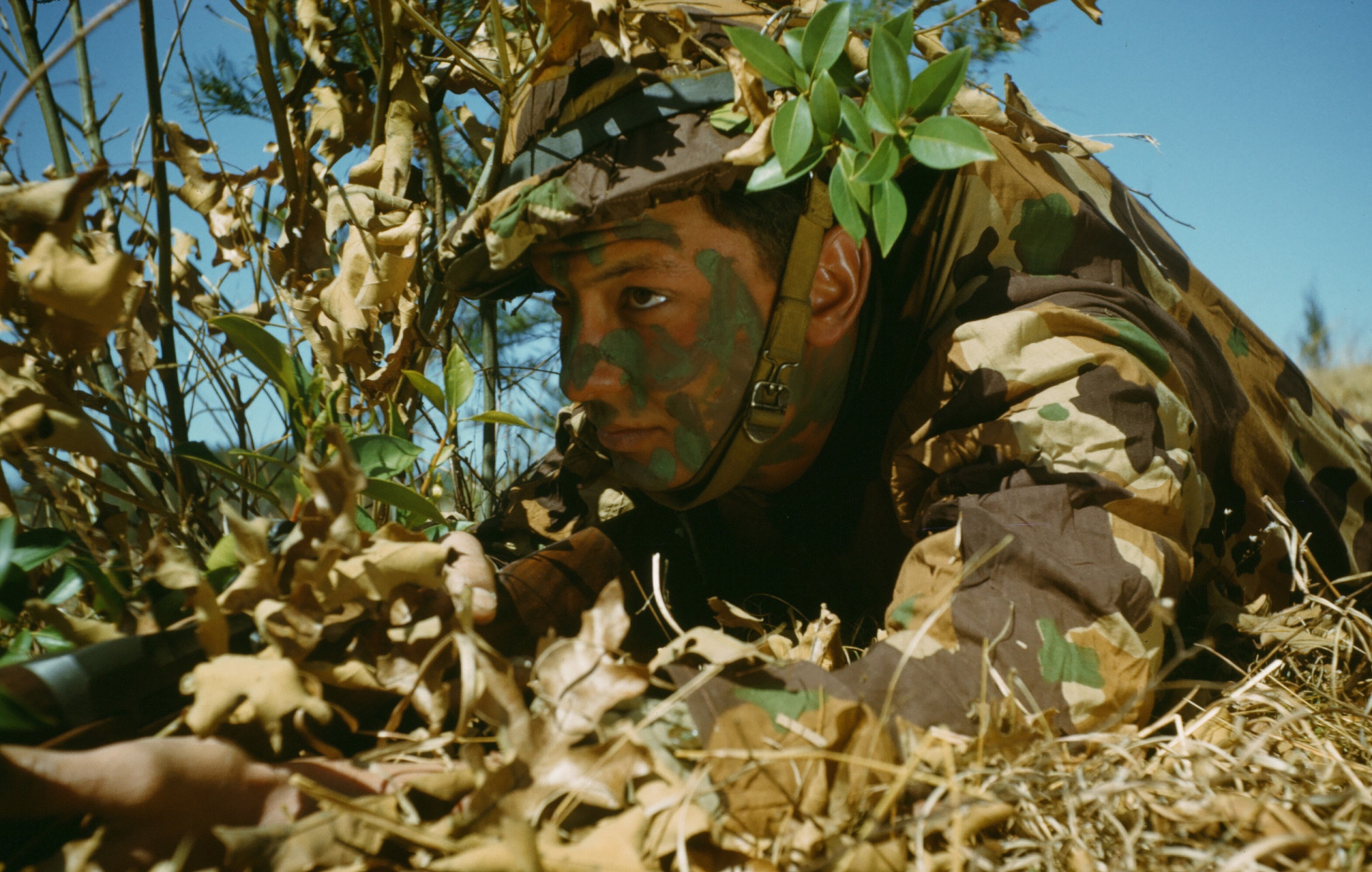History's most infamous snipers