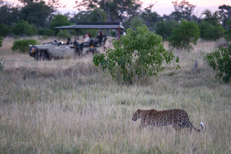 12YearOld Sustains 'Deep Gashes' From Leopard in Safari Attack(02)