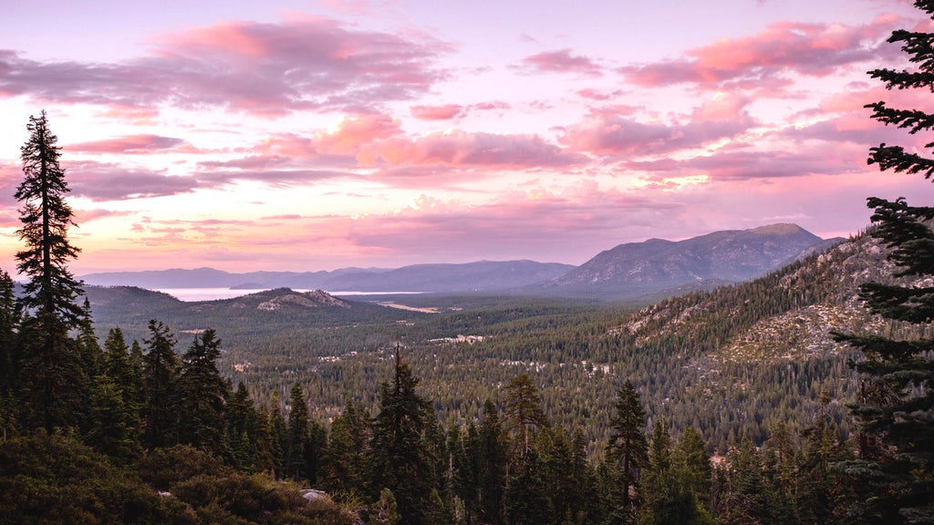 California resident in Lake Tahoe area tests positive for plague California resident in Lake Tahoe area tests positive for plague