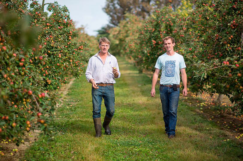 Somerset cidermaker celebrates after winning awards Somerset cidermaker celebrates after winning awards