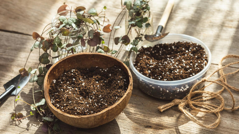 Breathe New Life Into An Empty Glass Yogurt Jar With A Clever Upcycling ...