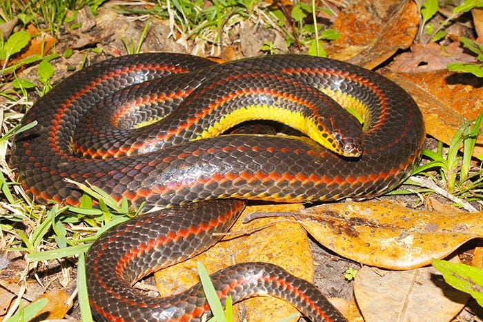 Gallery image with a fresh perspective
