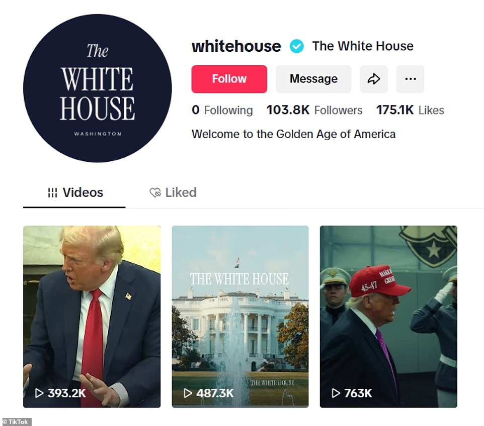 TikTok users react to new White House account