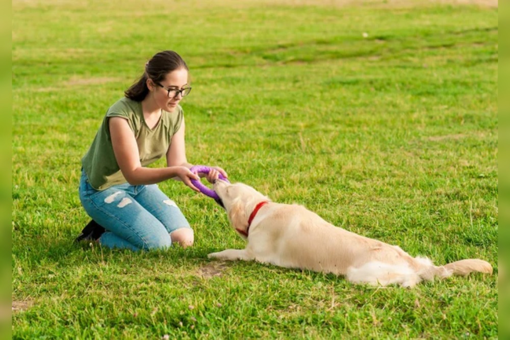 15 pet training hacks that really work