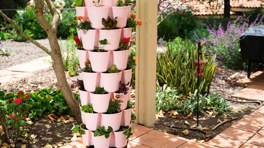 Image showcasing 7 Vertical Gardening Systems That Will Change the Way You Grow