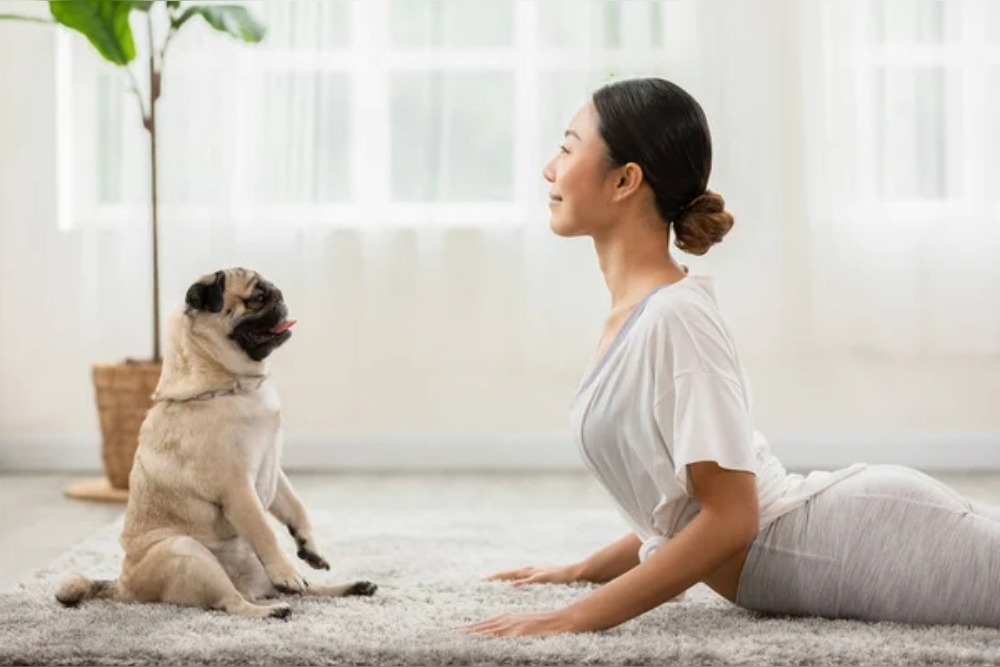15 pet training hacks that really work