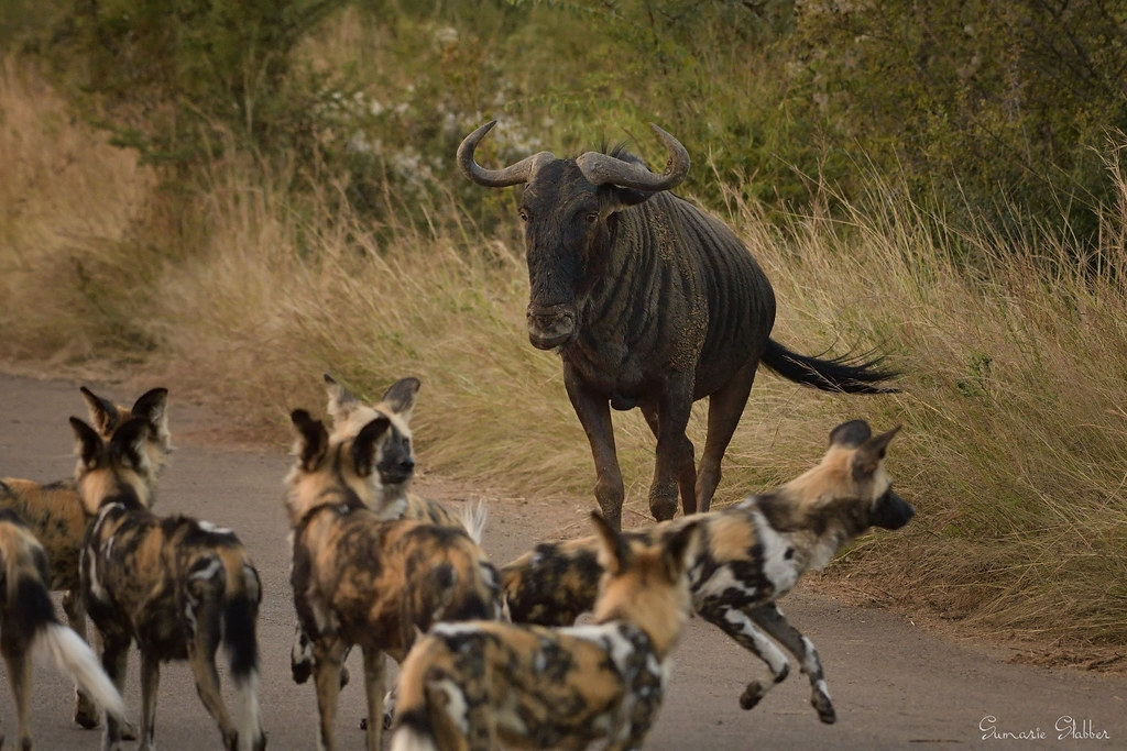 12 Tourist Hotspots That Are Actually More Dangerous Than You Think