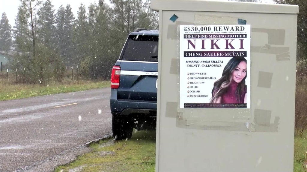 Husband of missing California woman Nikki SaeleeMcCain arrested for murder