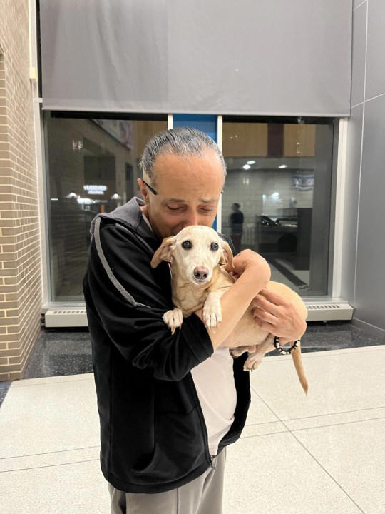 Legally blind Chicago man reunited with stolen support dog after 2 months