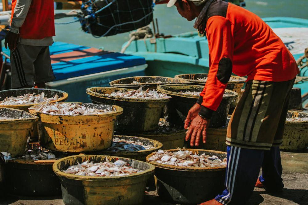 PNM Bimbing Nelayan Perempuan Tingkatkan Nilai Produk Laut