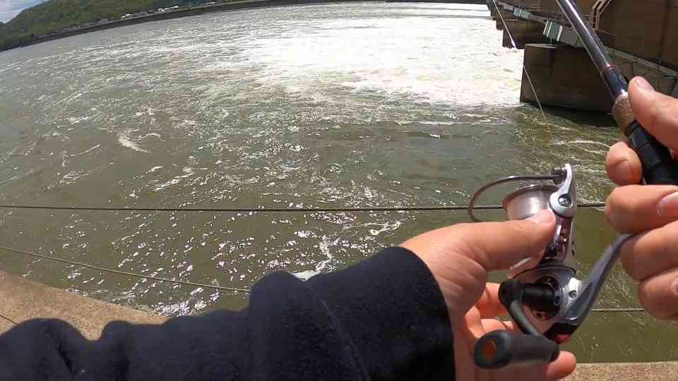 Hybrid striped bass fishing on the Ohio River! (Monster spillway fishing!)