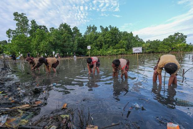 Kemenhut: Rehabilitasi Mangrove Tingkatkan Ekonomi Pesisir