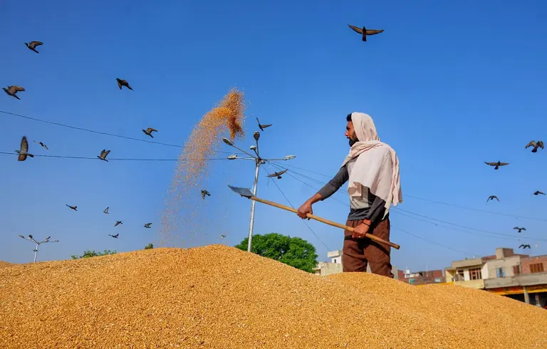 Centre hikes wheat procurement targets, rolls out QR codes to track and ...