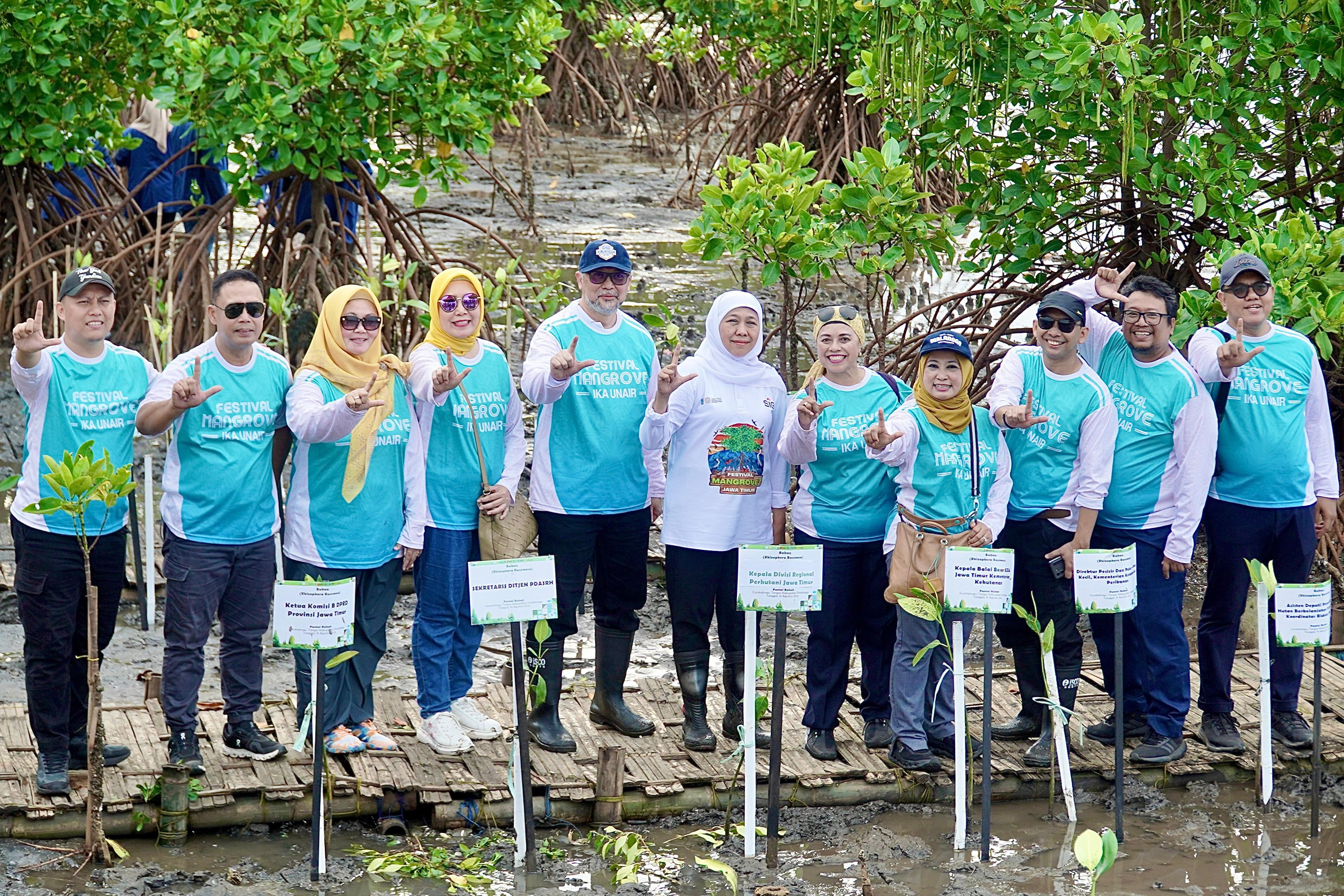 Festival Mangrove VII: IKA Unair Tanam Ribuan Pohon dan Beri Layanan Kesehatan Gratis