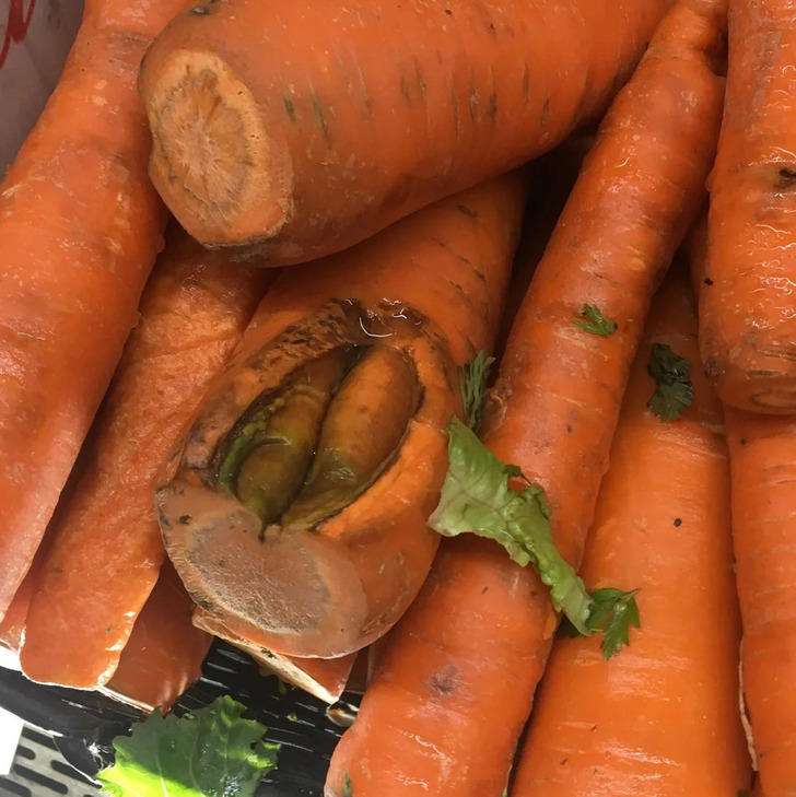 15 Ordinary Objects With JawDropping Secrets Inside Them