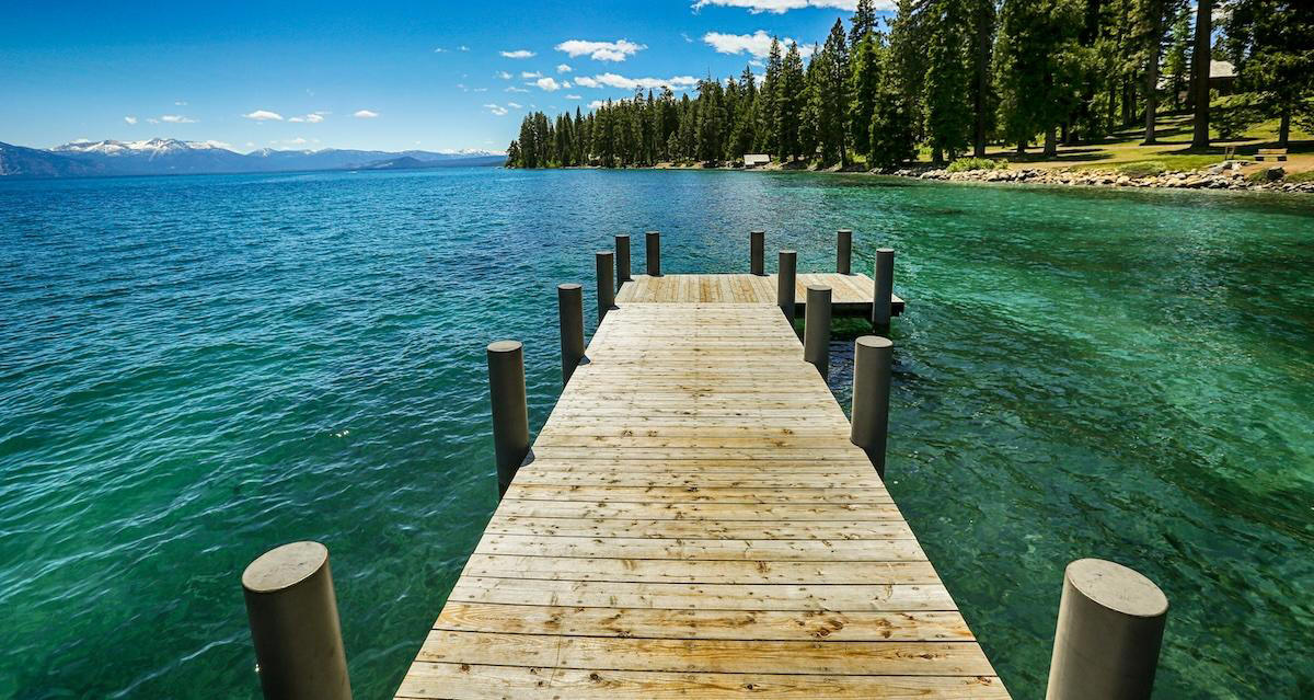 A Positive Case of the Plague Has Been Reported in Lake Tahoe A Positive Case of the Plague Has Been Reported in Lake Tahoe