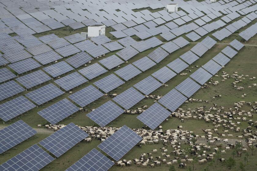 China Races To Build World S Largest Solar Farm To Meet Emissions Targets