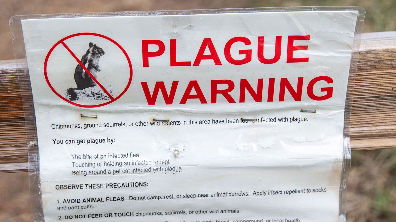 Strange plague case rattles California as threat level increases Strange plague case rattles California as threat level increases