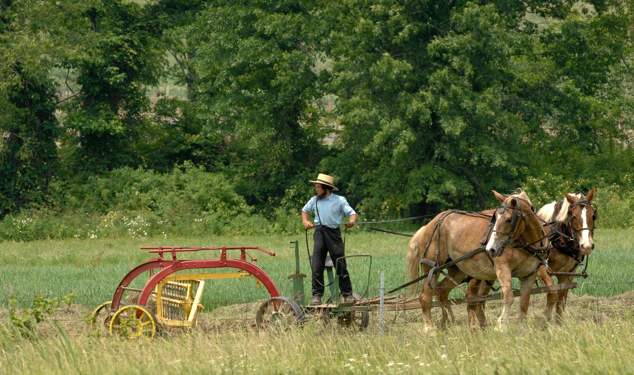 5 Survival Essentials the Amish Know – Do You?
