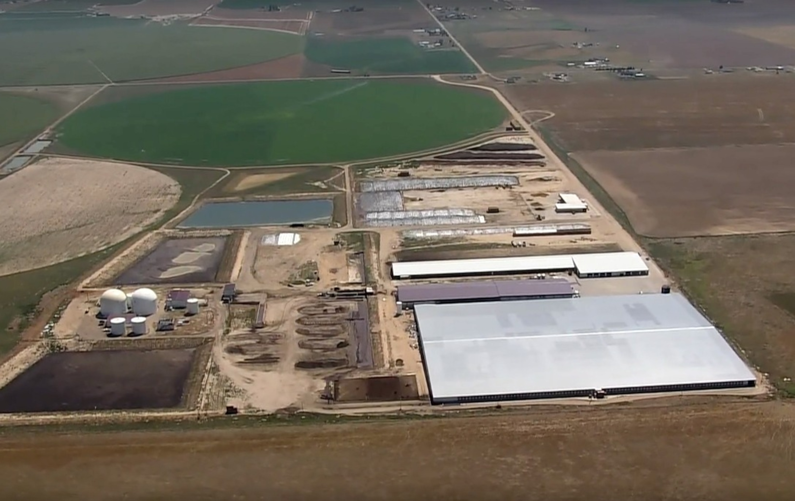 6 dead in dairy farm accident Fire chief(02)