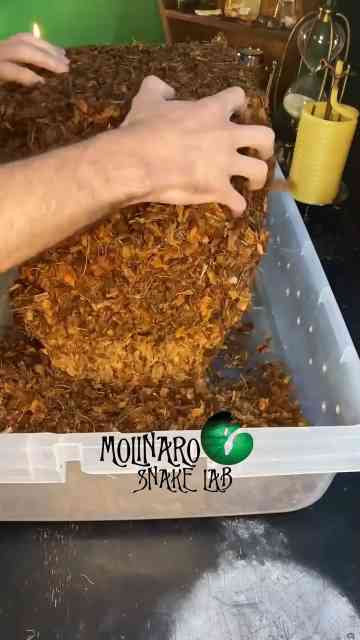 Let's prepare a substrate!