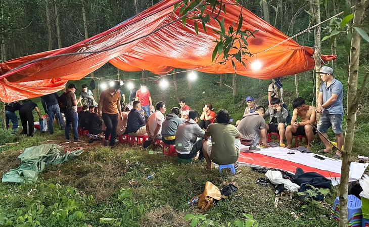 Triệt phá 'ổ' xóc đĩa giữa rừng keo, có cả xe ôm chở con bạc vào sát phạt